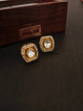 NAYAAB STUDS